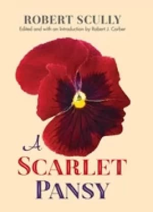 scarlet pansy