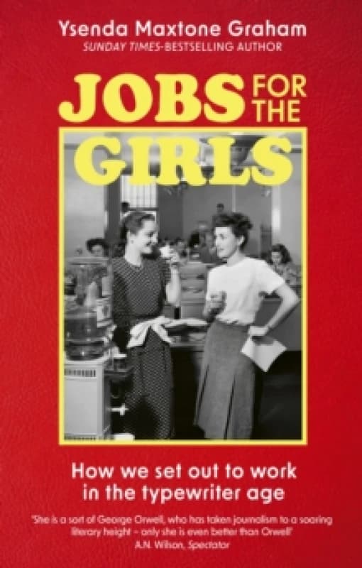 Jobs for the Girls. Paperback. By Ysenda Maxtone Graham Books