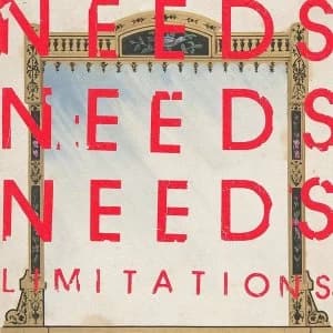 Needs - Limitations Vinyl
