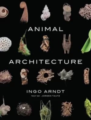 Animal architecture by Ingo Arndt