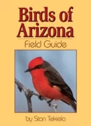 birds of arizona field guide