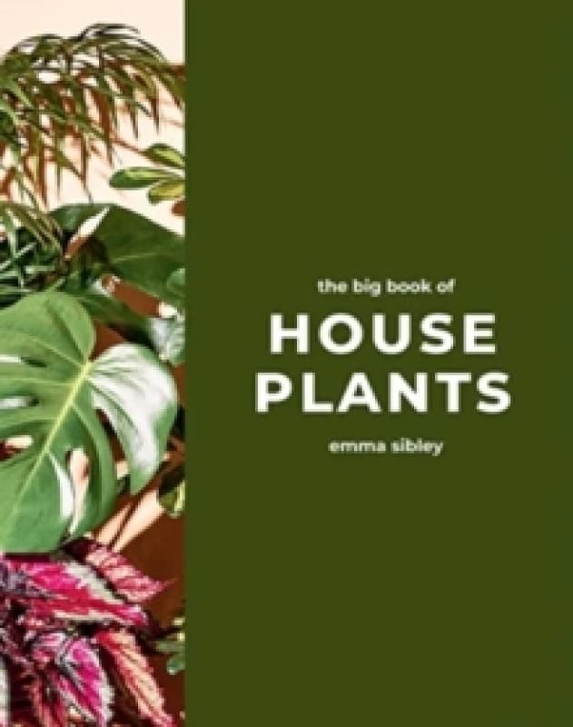 The Big Book of House Plants Hardback
