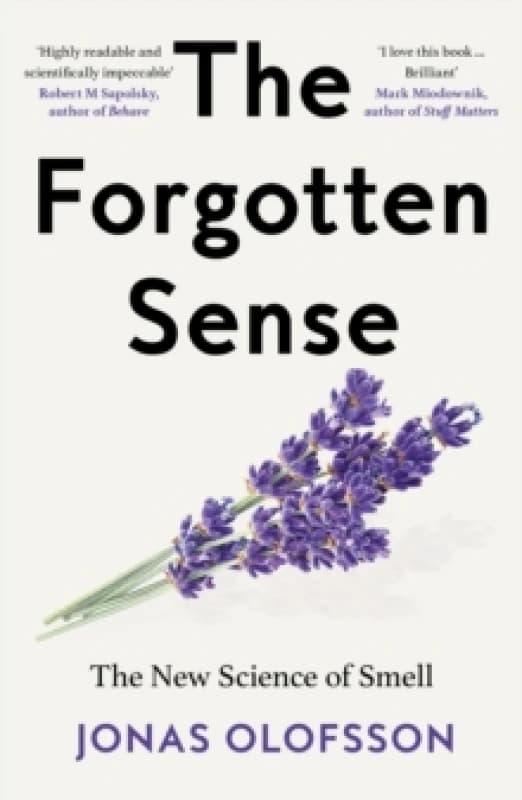 The Forgotten Sense. Paperback. By Jonas Olofsson Books