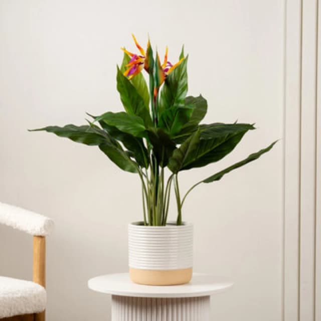 Scottish Everlastings Ltd. Scottish Everlastings 83Cm Artificial Bird Of Paradise Tree With Flower