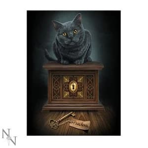 Pandoras Box 3D Picture