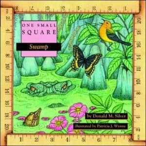 Swamp by Donald Silver Book