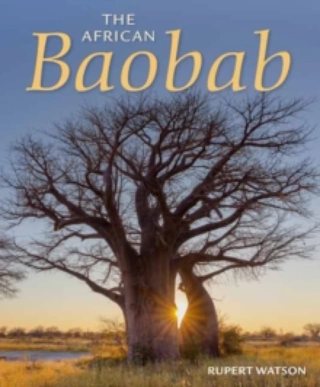 The African Baobab Paperback / softback