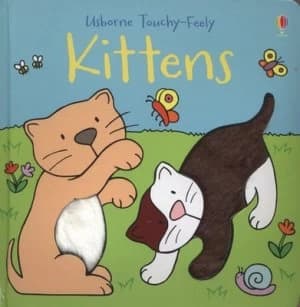 Kittens by Fiona Watt and Rachel Wells Hardback