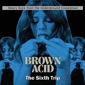 Various Artists - Brown Acid: The Sixth Trip Vinyl