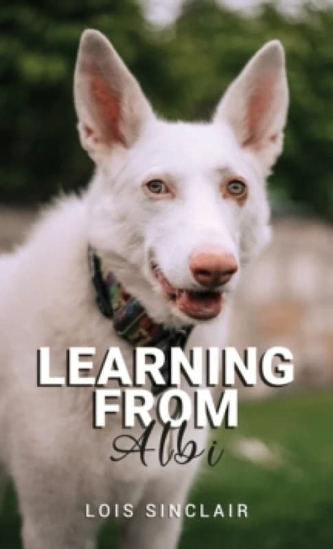 Learning from Albi. Paperback. By Lois Sinclair Books