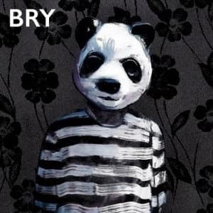 Bry by Bry CD Album