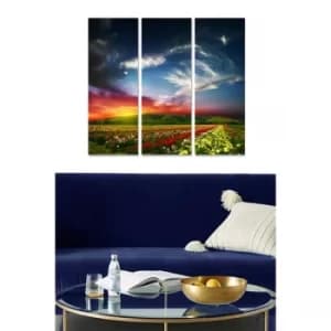 MDF72417268 Multicolor Decorative MDF Painting (3 Pieces)