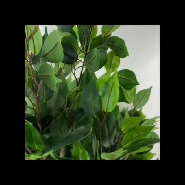 Leaf 110cm Leaf Realistic Artificial Ficus Tree / Plant Multicolour Planter