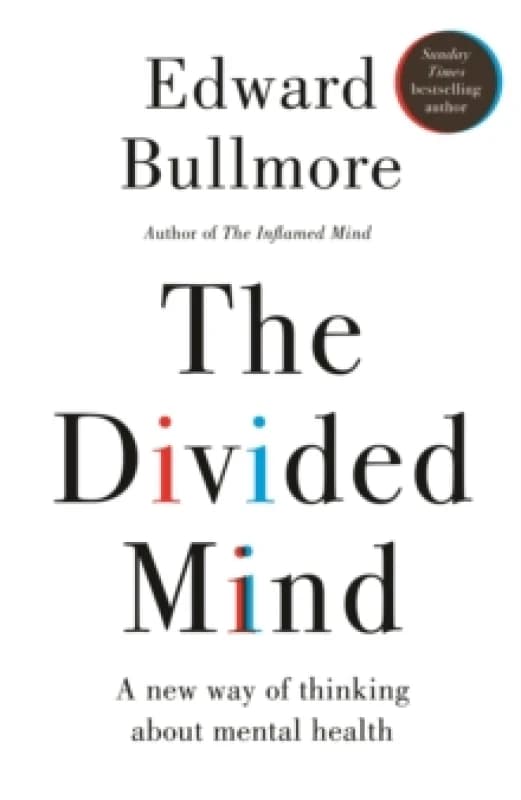 The Divided Mind : A new way of thinking about mental health Hardback