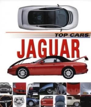 Jaguar by Lee Stacy Paperback