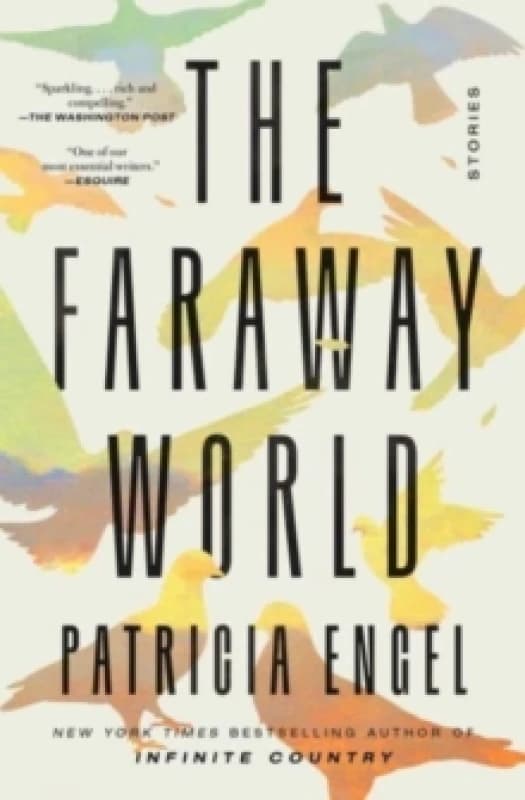 The Faraway World : Stories Paperback / softback