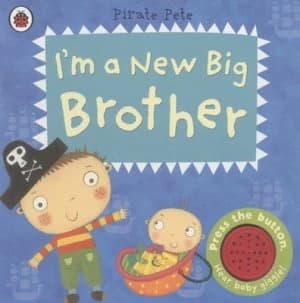 Im a New Big Brother by Amanda Li Book