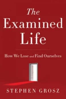 The Examined Life by Stephen Grosz Hardback