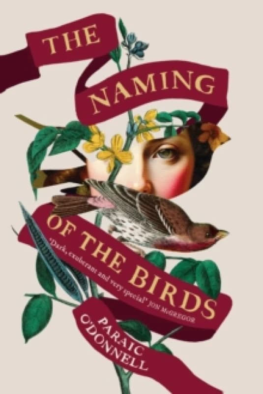 The Naming of the Birds Hardback