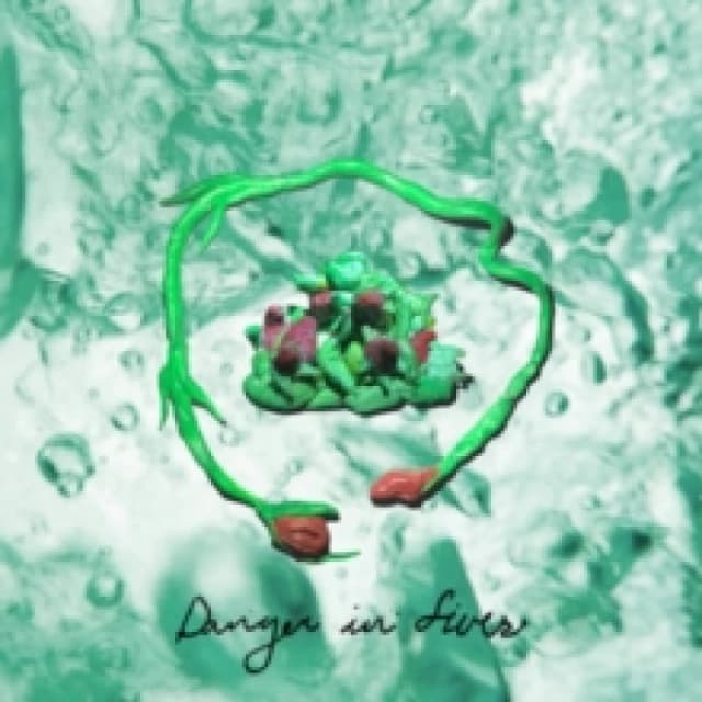 Danger in fives CD / Album