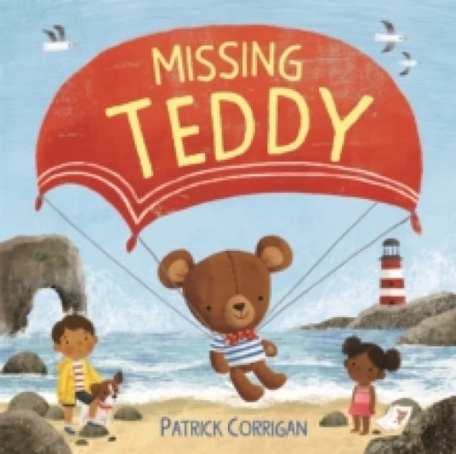 Missing Teddy Paperback / softback