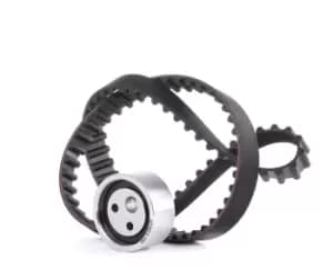 SNR Timing belt kit RENAULT,NISSAN KD455.13 1307700QAD,1680600QA9,1680600QAM 1680600QAN,1680600QAT,1680600QAU,1680600QBF,7700102047,7700106241