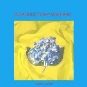 Introductory Material by Table Sugar Vinyl Album