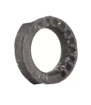 TEDGUM Spring Cap 00727163 VW,SEAT,GOLF III (1H1),GOLF II (19E, 1G1),Golf III Cabrio (1E7),GOLF III Variant (1H5),CORRADO (53I),Vento (1H2)