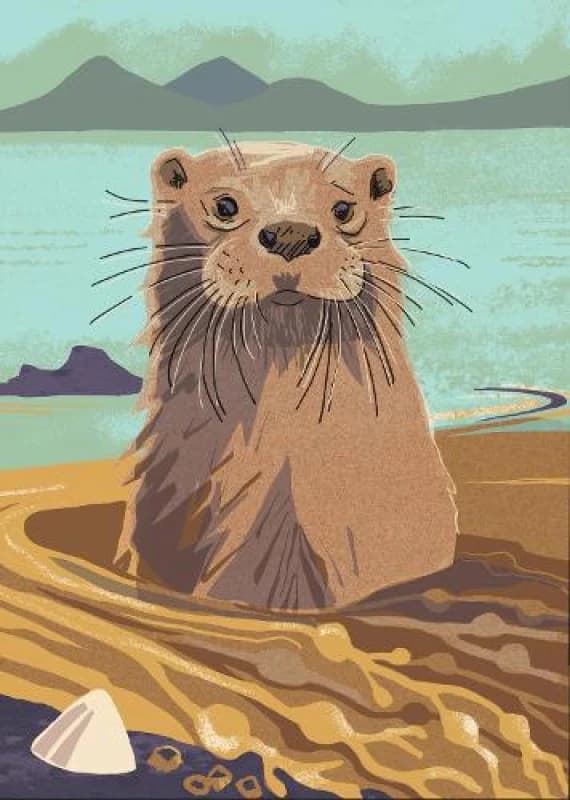 Nature Notebook: Otter Notebook / blank book