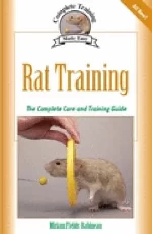 rat training a comprehensive beginners guide