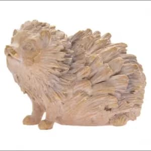 Driftwood Hedgehog by Leonardo