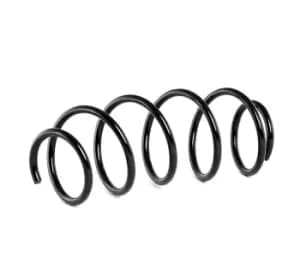 RIDEX Coil spring 188C0311 Suspension spring,Springs FORD,Fiesta Mk5 Schragheck (JH1, JD1, JH3, JD3),Fiesta Mk5 Kastenwagen
