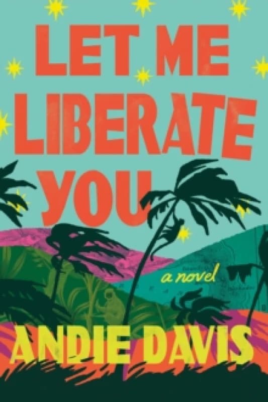 Let Me Liberate You : A Novel Hardback