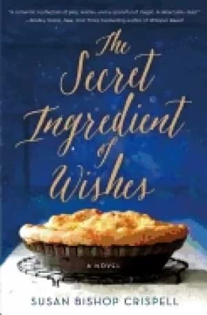 secret ingredient of wishes a novel