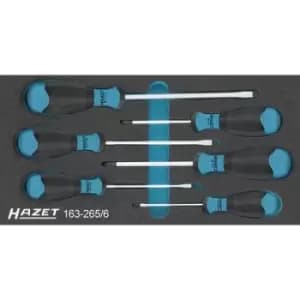 Hazet Workshop Screwdriver set 6 Piece Slot, Phillips