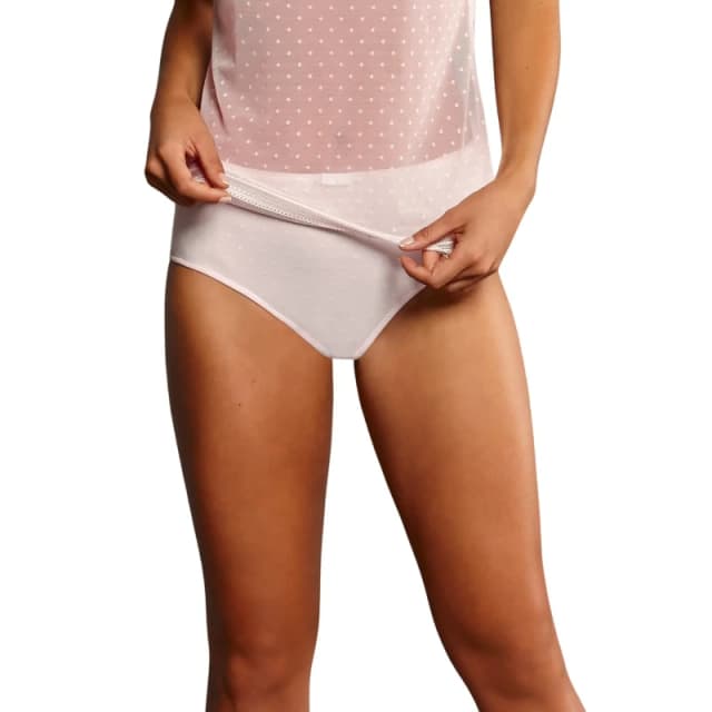 Anita Womens high-waisted briefs Anita emily Rose Female 52