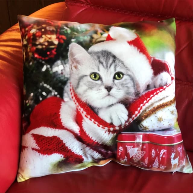 Alan Symonds Cat Velvet Christmas Cushion Multicolour unisex 45x45cm