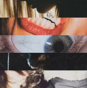 Missing Link by Nick Murphy Vinyl Album