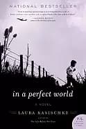 in a perfect world a novel