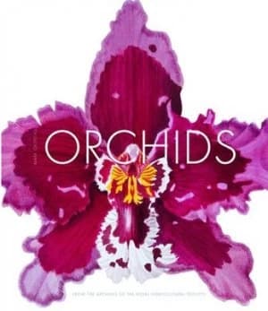 Orchids by Mark Griffiths and Royal Horticultural Society Hardback