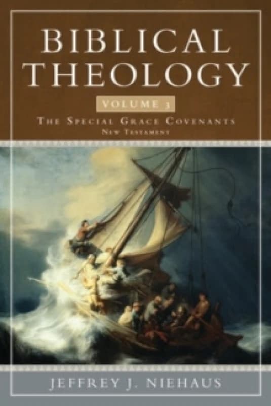 Biblical Theology, Volume 3 Paperback / softback