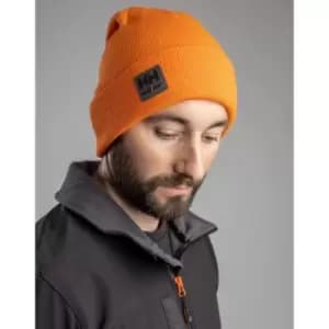 Kensington Beanie Accessories Dkor One Size