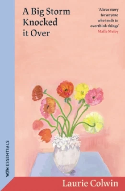 A Big Storm Knocked it Over Paperback / softback