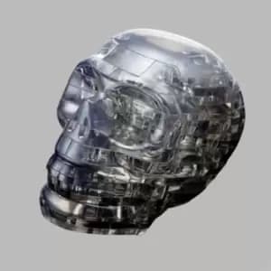 3D Skull Jigsaw Puzzle