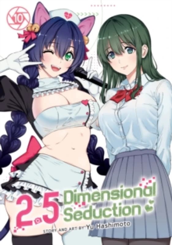 2.5 Dimensional Seduction Vol. 10 Paperback / softback