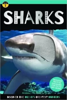 Sharks by Mary Atkinson