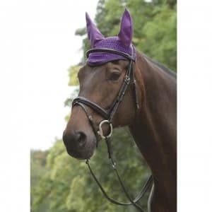 Saxon Element Ear Cover - Purple/Navy