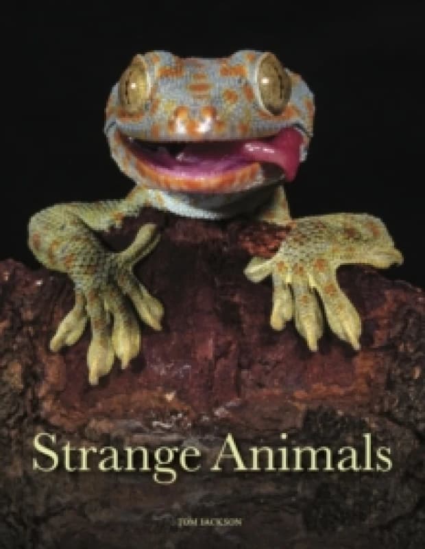 Strange Animals Hardback