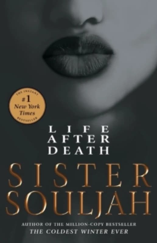 Life After Death : A Novel Volume 2 Paperback / softback