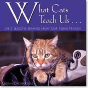 What Cats Teach Us-- by Glenn Dromgoole Book
